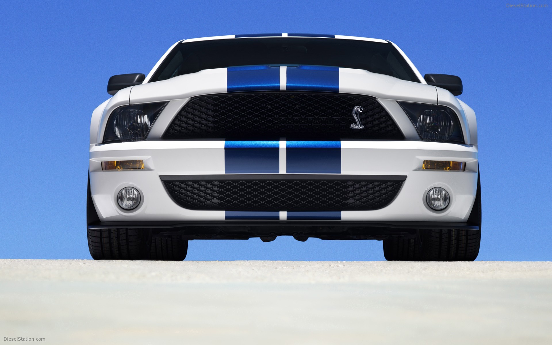 Ford Shelby Cobra GT500